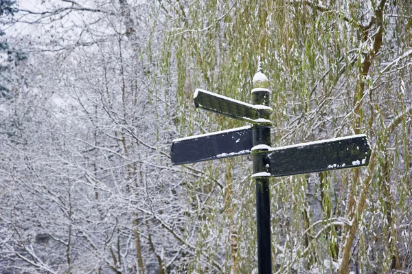 Blank three directional sign in snow — Stock Photo, Image