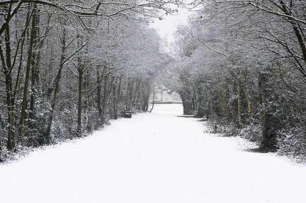 Hermoso camino a través del bosque con nieve — Foto de Stock