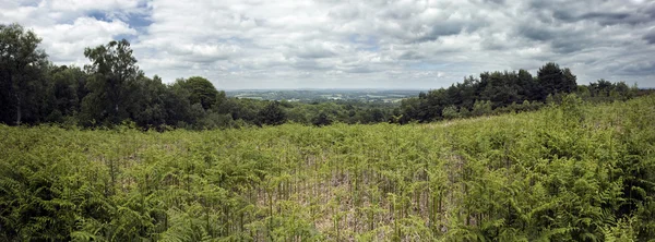 Panorama a través del campo inglés — Foto de Stock