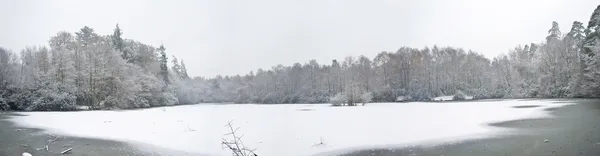 stock image Beautiful large panorama of frozen snow covered lake