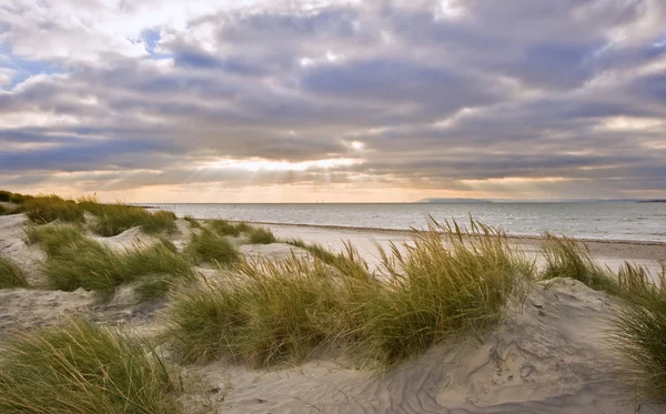 Splendida immagine ispiratrice tramonto con raggi di sole incandescenti su sabbia erbosa — Foto Stock