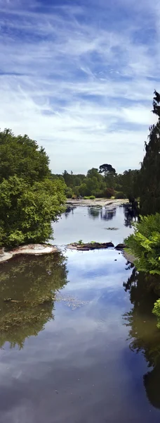 Panorama dużego jeziora, otoczony przez drzewa Zdjęcie Stockowe