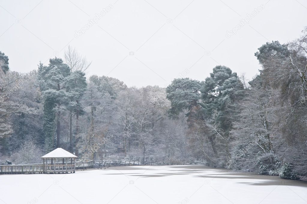 Frozen Winter lake covered in snow with tree lined perimeter