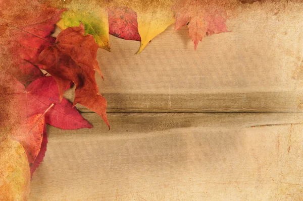 Zářivé podzimní podzim listy na vinobraní grunge rustikální dřevo — Stock fotografie