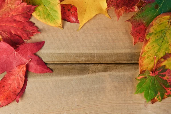 Vibrant Autumn Fall Season leaves on rustic wood background — Stock Photo, Image