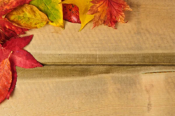 Vibrante otoño Otoño Hojas de temporada sobre fondo de madera rústica —  Fotos de Stock