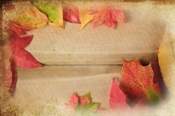 Vibrant Autumn Fall Season leaves on vintage grunge rustic wood — Stock Photo, Image