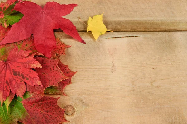 Wibrujący jesień jesieni pozostawia na tle rustykalnym drewna — Zdjęcie stockowe