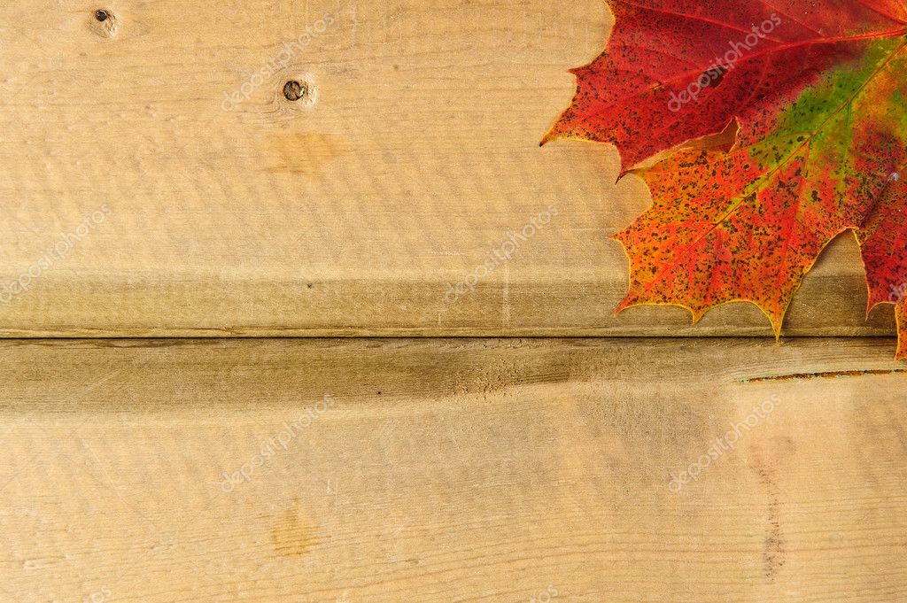 Vibrant Autumn Fall Season leaves on rustic wood background — Stock ...