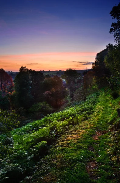 Vista a lo largo del hermoso Otoño Valle de otoño al amanecer con col profunda — Foto de Stock