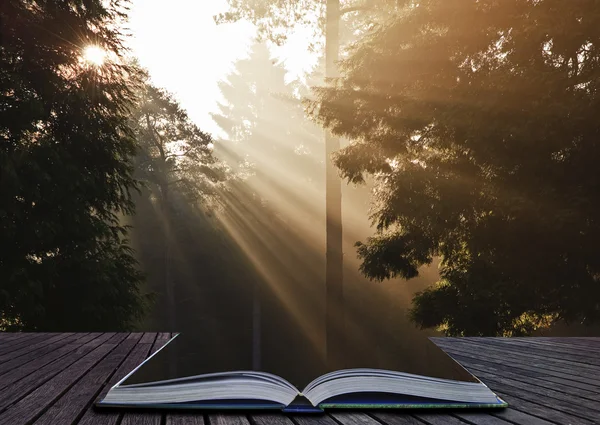 Inspirational sun beams at dawn coming out of pages in magic boo — Stock Photo, Image
