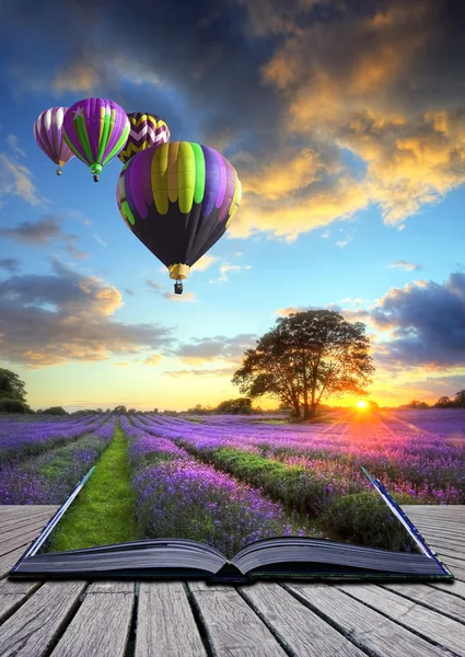 Balões de ar quente lavanda paisagem páginas de livro mágico — Fotografia de Stock
