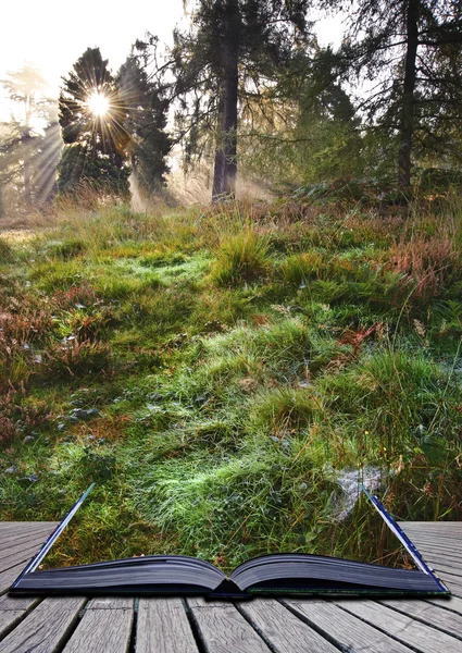 Otoño Otoño bosque paisaje mágico libro páginas — Foto de Stock