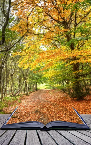 Jesień krajobraz las magii książki stron — Zdjęcie stockowe