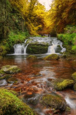 Waterfall flowing through Autumn Fall forest landscape clipart