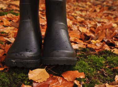 sonbahar sonbahar konsepti wellington yaprakları ve yağmur botları