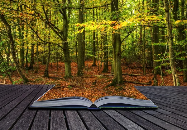 魔法の本から出てくる鮮やかな紅葉の森風景 — ストック写真