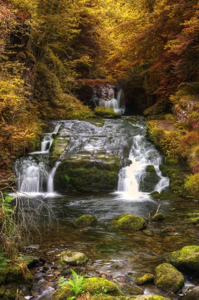 Cascada que fluye a través de otoño Otoño bosque paisaje — Foto de Stock
