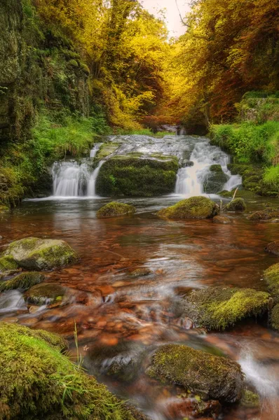 Vattenfall som flödar genom hösten faller skogslandskap — Stockfoto