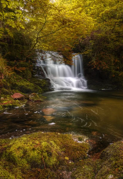 Водоспад тече через падіння осінній ліс краєвид — стокове фото