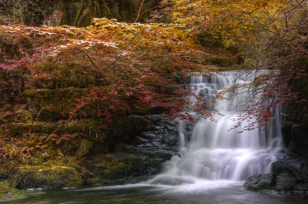 瀑布流经的秋天秋天森林景观 — 图库照片