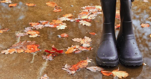 Φθινόπωρο φθινόπωρο έννοια Ουέλλινγκτον μπότες φύλλα και βροχή — Φωτογραφία Αρχείου