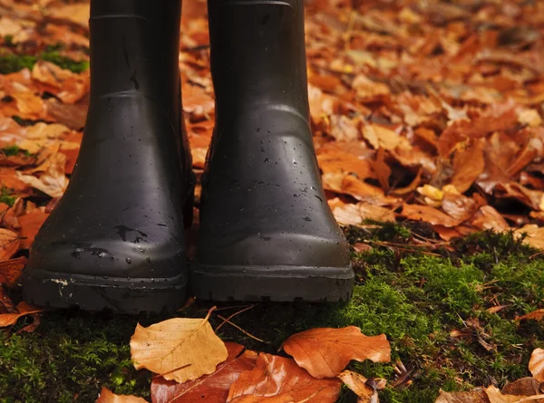 stock image Autumn Fall concept wellington boots leaves and rain