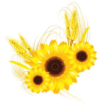 sunflower and wheat background clipart