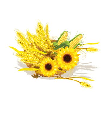 Seasonal design with wheat and sunflower in wicker baskets clipart