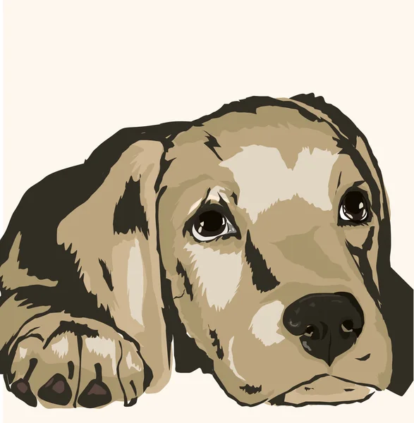 悲しい犬 — ストックベクタ