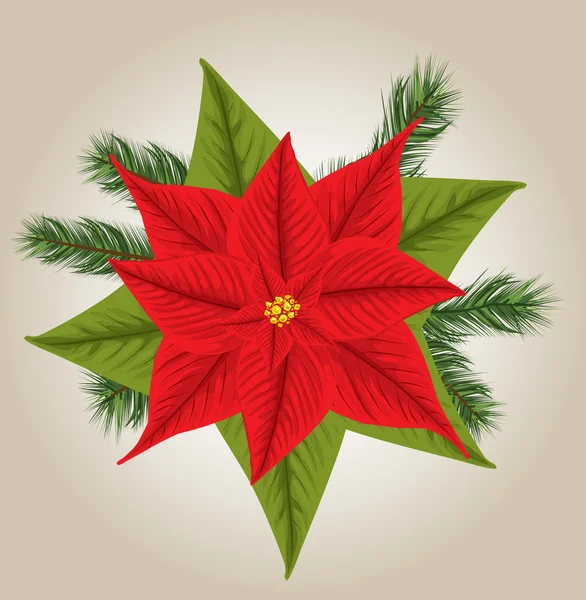 Christmas Poinsettia — Stock Vector