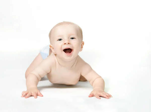 Riendo bebé de seis meses sobre fondo blanco —  Fotos de Stock