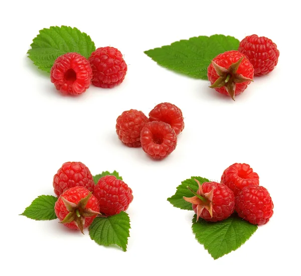 Set of red ripe raspberry heaps with leafs — Stock Photo, Image