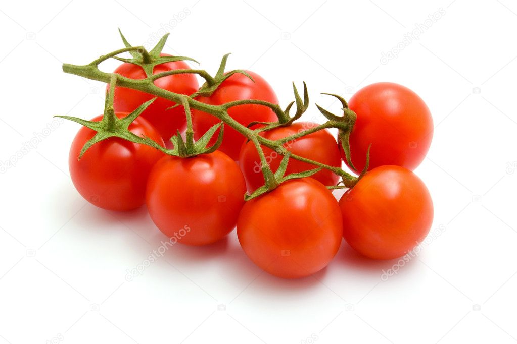 Ripe fresh cherry tomatoes on branch