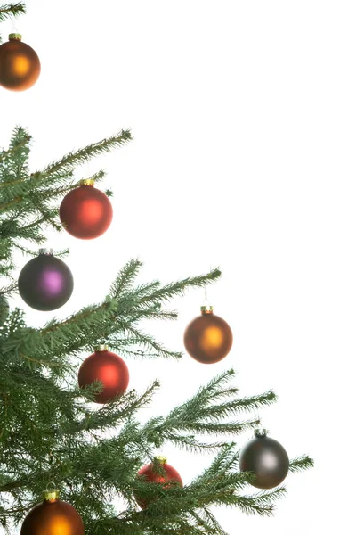 Pine-kerstboom — Stockfoto