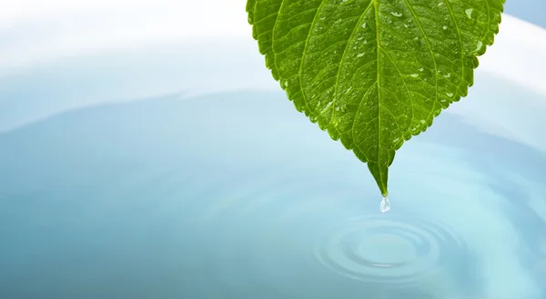 Waterdrop met blad — Stockfoto