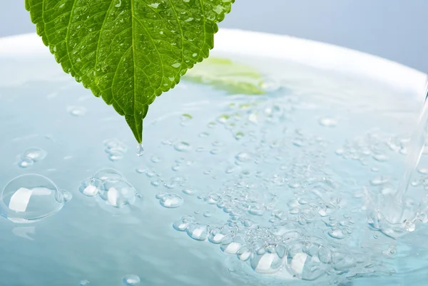 Wellness concept with leaf and bath Stock Picture