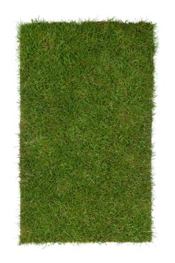 Grass piece clipart