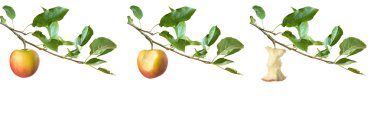 Apples on a branch clipart