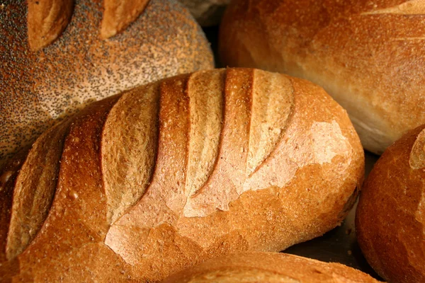 stock image Bread