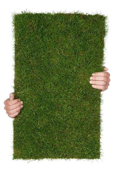 Kawałek trawy — Zdjęcie stockowe
