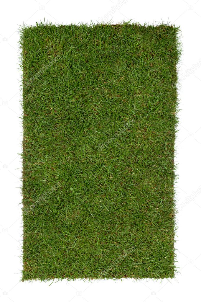 Grass piece