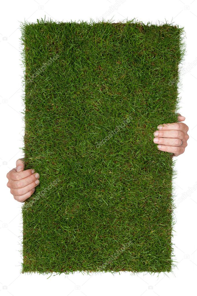 Grass piece