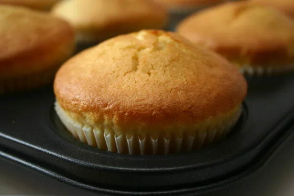 stock image Muffins