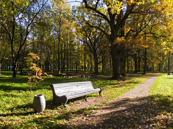 Park bench next to road — Stock Photo, Image