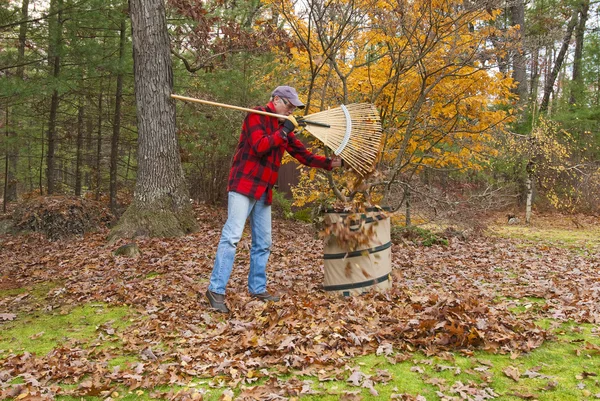 Senior kratta löv — Stockfoto