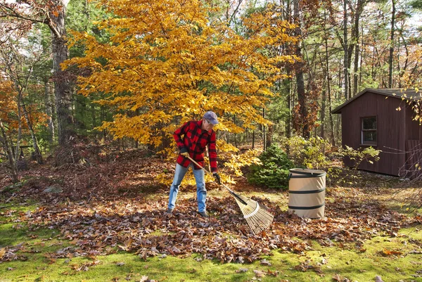 葉を掻き集めるシニア — ストック写真