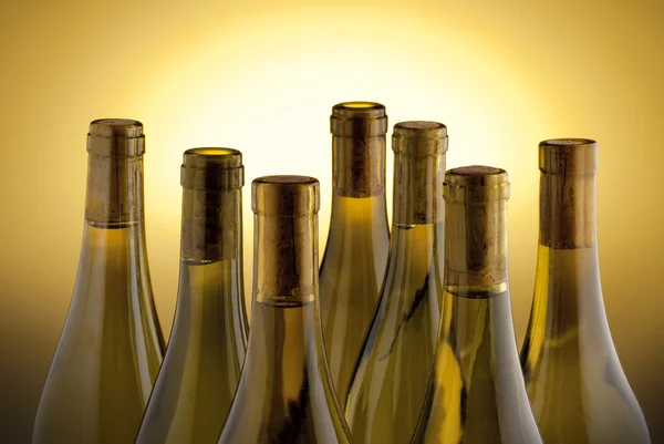 Witte wijn flessen op geel — Stockfoto