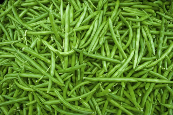 녹색 문자열 콩 — 스톡 사진