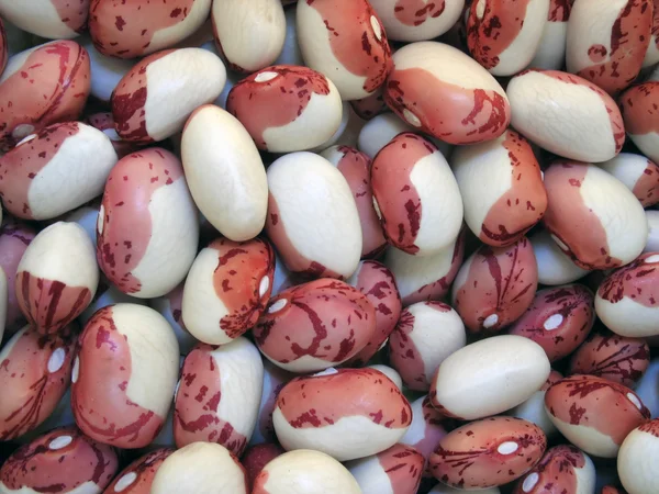 Haricot beans background — Stock Photo, Image